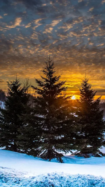 HD iPhone Wallpaper Winter, Sunset, Snow, Trees