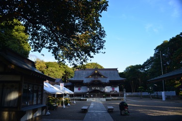 DSC 1601