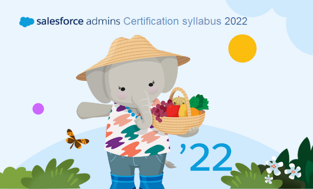 Salesforce Admin 201 Certification Exam Syllabus 2022