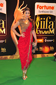 Shriya Sizzling in saree at IIFA Utsavam-thumbnail-20