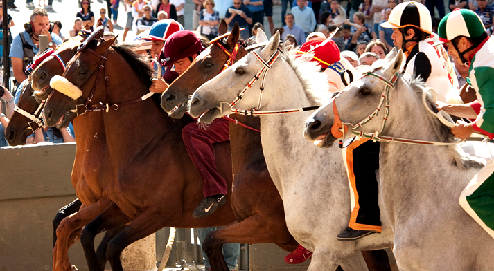 Palio de Cosima Spender (Reino Unido).