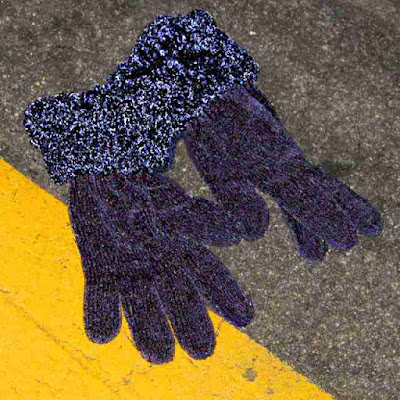 Gloves in the Wild (c) David Ocker