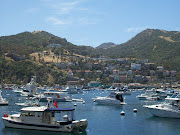 One of my favorite places on this planet is Catalina Island. (catalina)