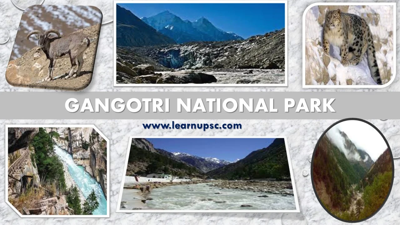 Gangotri National Park