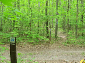 Carsonite posts at a road crossing on the North Country Trail