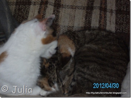 PICT0659