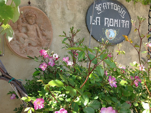 fattoria la romita toscana