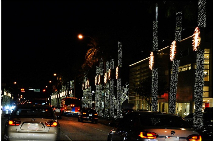 palm trees