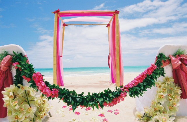 I cannot decide if I want to do flowers or not To rent wedding arches ideas