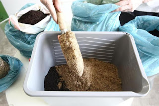 Veja algumas formas De Uso Da Areia E Surpreenda-se Com O Tanto Que Ela Pode Fazer Pelas Suas Plantas, Custando Muito Pouco!