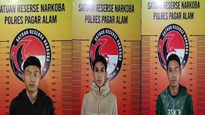 Ditemukan Paket Ganja Saat Digeledah, Tiga Sekawan ini Ditangkap Polisi 