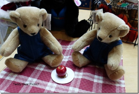 Teddy Bear Picnic?