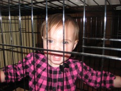 Jan-Feb 2011 277