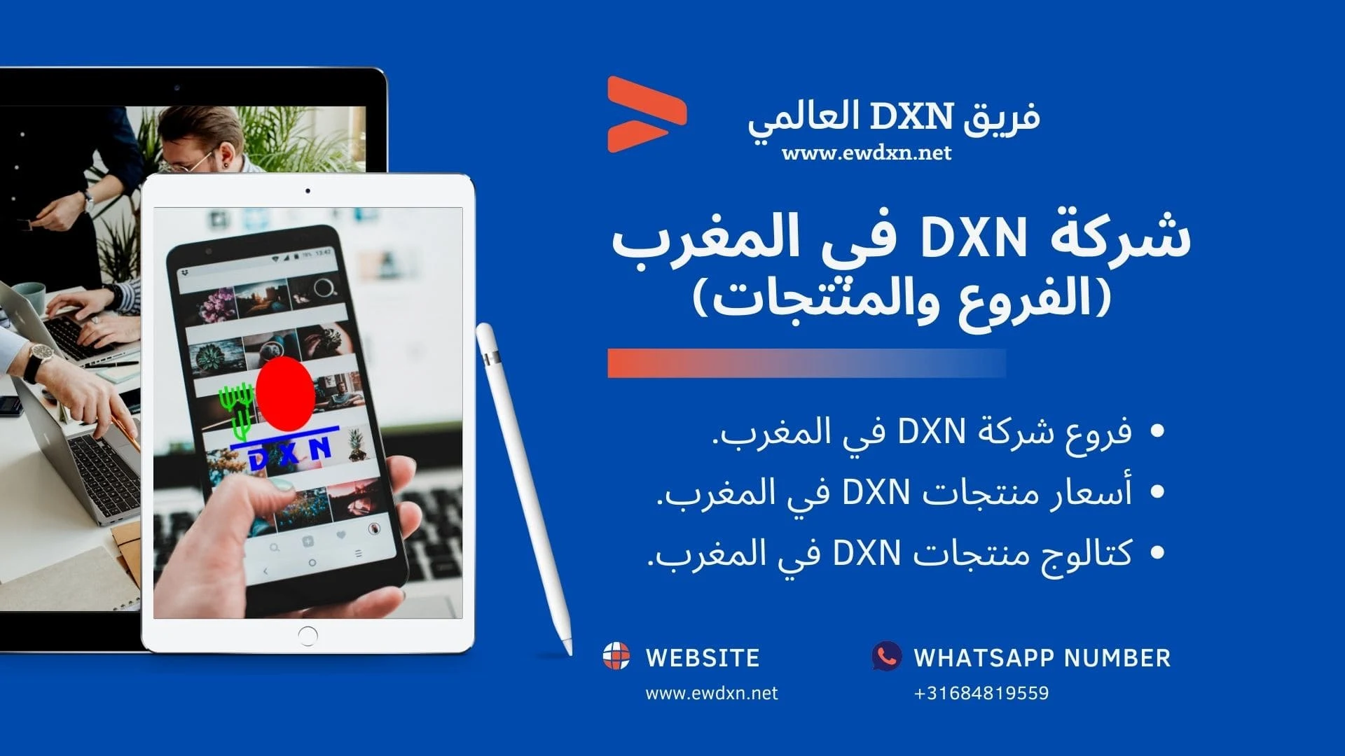 شركة في DXN المغرب