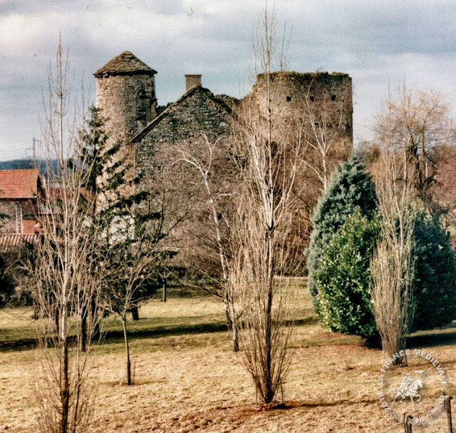 FRONTONAS (38) - Maison-forte de Certeau