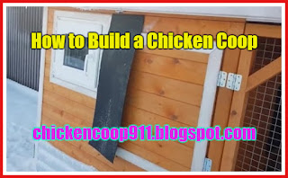 How to Build a Chicken Coop