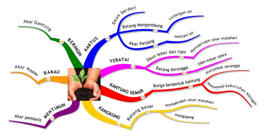 Kumpulan Mind Mapping Materi Pelajaran IPA (SD)