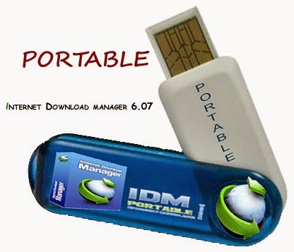 IDM Portable Versi 8 Full Terbaru 2014