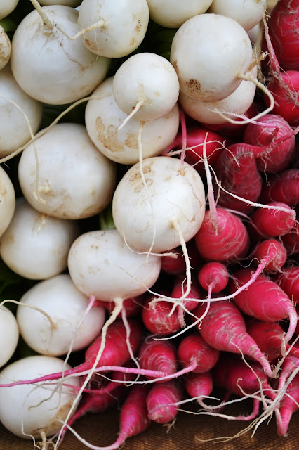 farmer's market, queen anne, seattle, summer, vegetables, catie beatty, food, produce