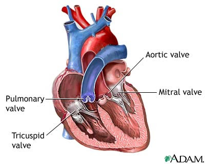 Heart Images