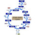 Siklus Krebs (Krebs Cycle)