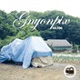 Gnyonpix - 44,100 EP