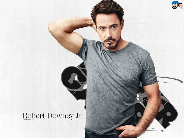 Robert Downey  Hollywood Celebrity pic 