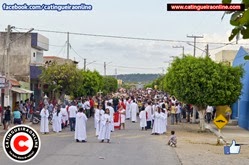 porcisão 008