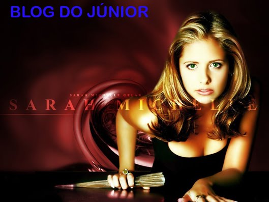 BLOG DO JÚNIOR