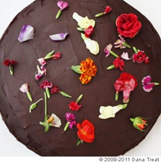 Giant Chocolate Cake