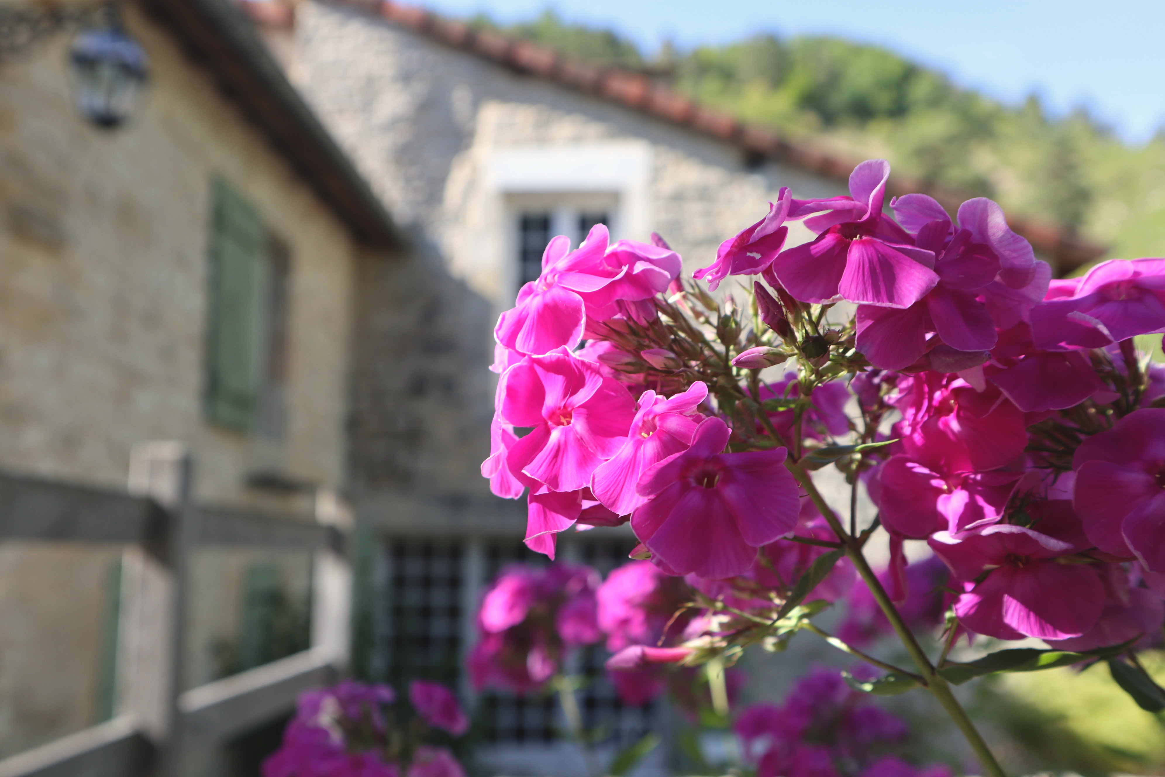 Les Jardins de Mon Moulin (The Gardens of My Mill)