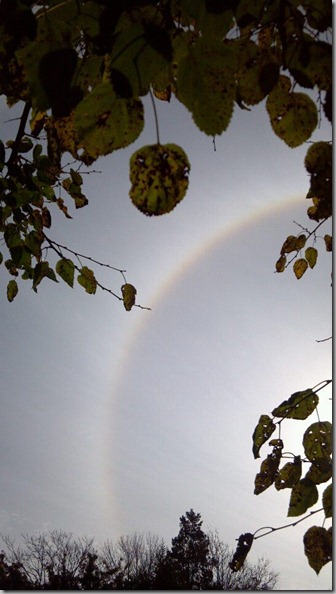 sundogs