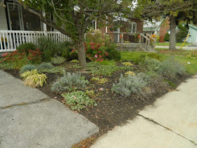 Toronto Fall Front Yard Cleanup Birch Cliff after by Paul Jung Gardening Services