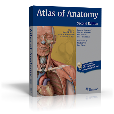 What You Need to Know about Thieme’s Atlas of Anatomy