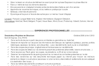 Exemple Cv Dessinateur Projeteur