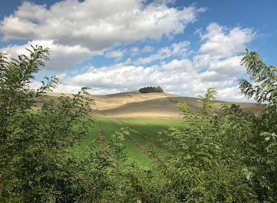 Tuscany, countryside, fields, trees