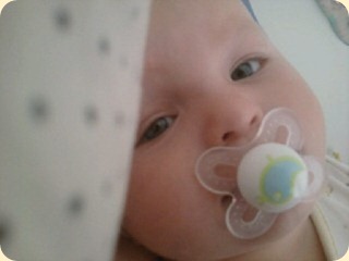 mms_picture_3 (2)