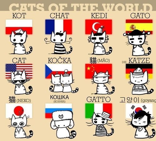 cats of the world