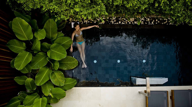 Pool with green plants 