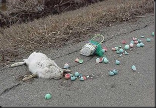 easter_roadkill