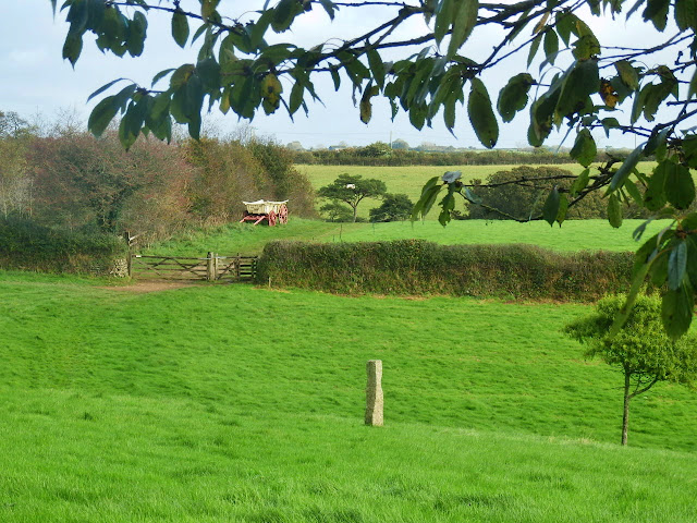 Green fields and traditional hay wagon at Lost Gardend of Heligan