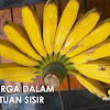 Pisang kepok