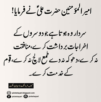 Hazrat Ali Quotes in Urdu