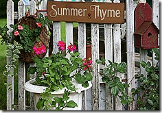 SummerThyme