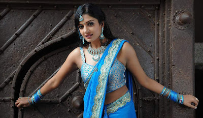 actress vimala raman in saree photos+123actressphotosgallery.com