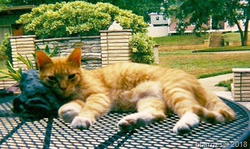 Red September 2000 in Brenham