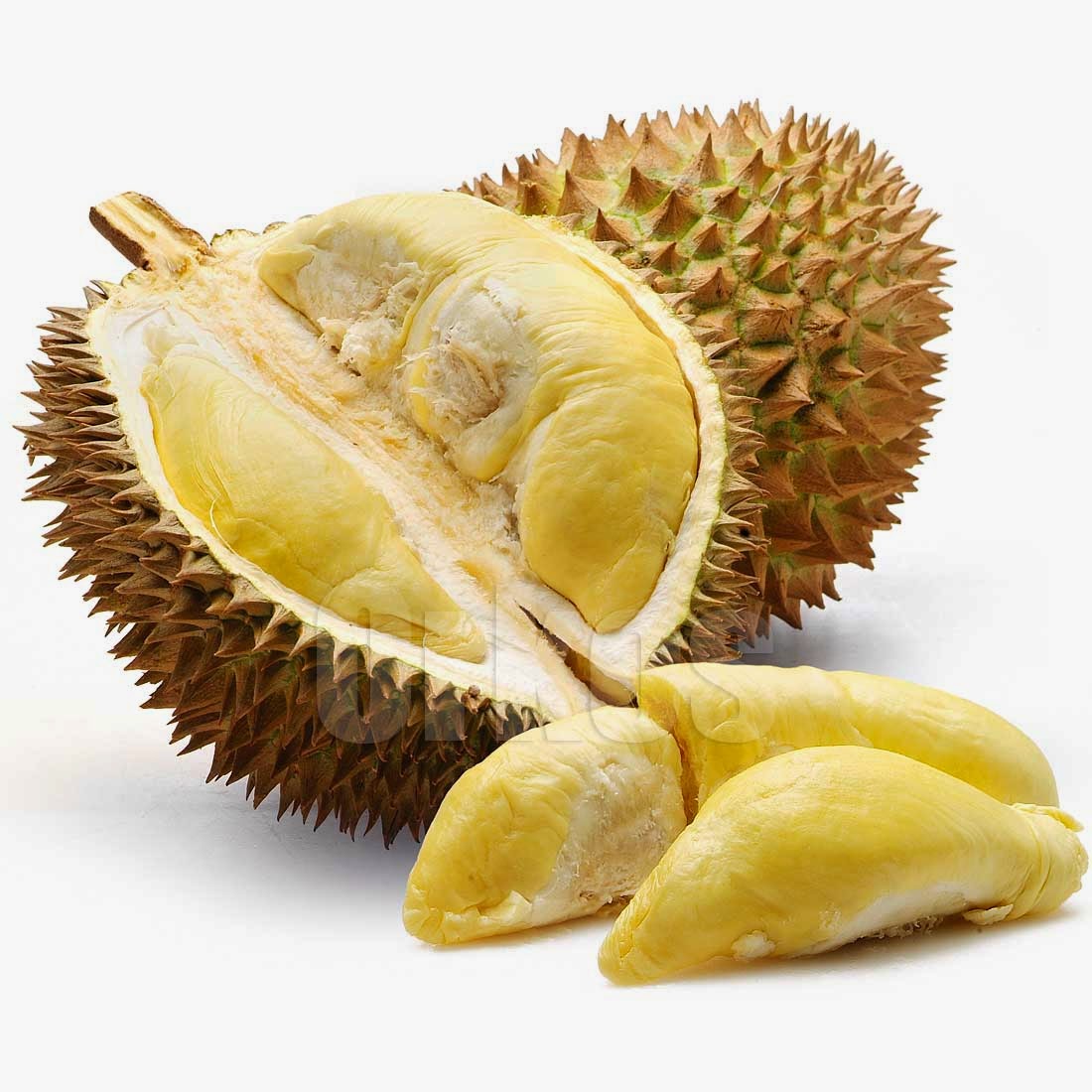 Berikut Beberapa Gambar  Durian