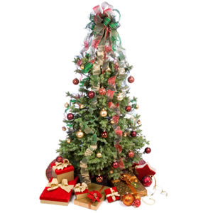 christmas tree gifts cards