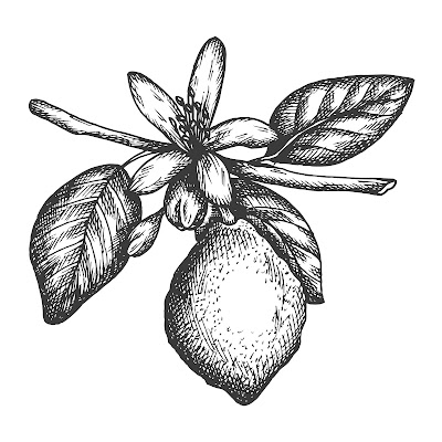 200 + Cartoon Images of Lemon fruit