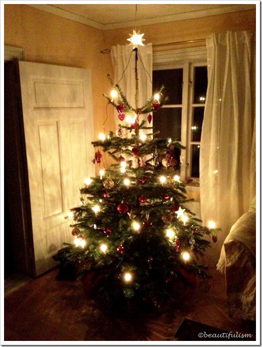 christmas tree